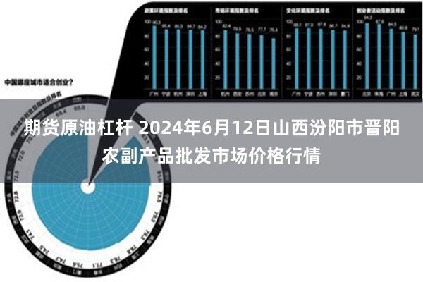 期货原油杠杆 2024年6月12日山西汾阳市晋阳农副产品批发市场价格行情