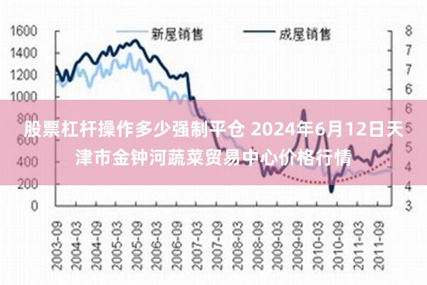 股票杠杆操作多少强制平仓 2024年6月12日天津市金钟河蔬菜贸易中心价格行情