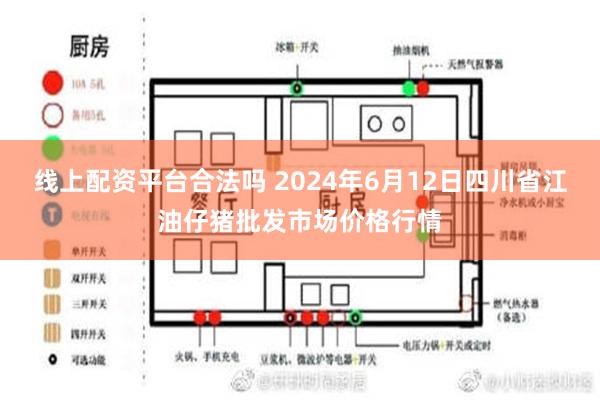 线上配资平台合法吗 2024年6月12日四川省江油仔猪批发市场价格行情