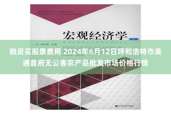 融资买股票费用 2024年6月12日呼和浩特市美通首府无公害农产品批发市场价格行情