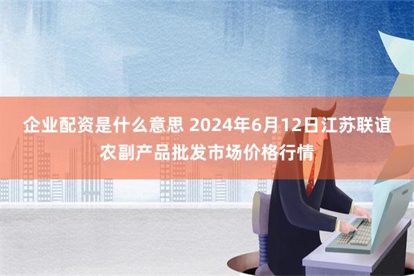 企业配资是什么意思 2024年6月12日江苏联谊农副产品批发市场价格行情