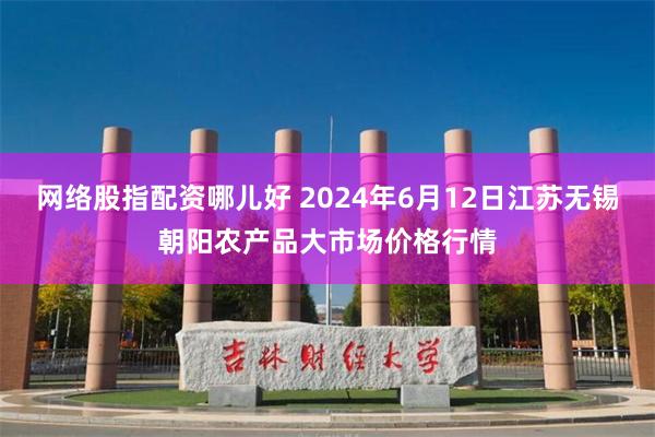 网络股指配资哪儿好 2024年6月12日江苏无锡朝阳农产品大市场价格行情