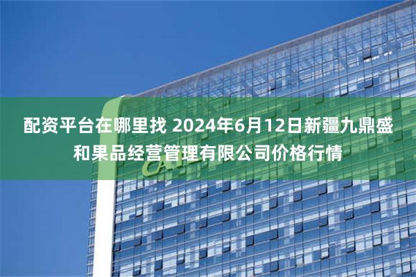 配资平台在哪里找 2024年6月12日新疆九鼎盛和果品经营管理有限公司价格行情