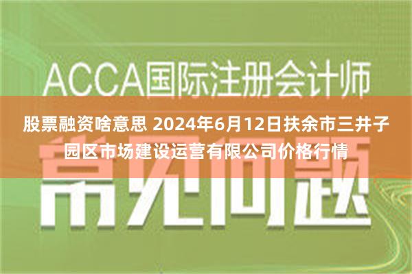 股票融资啥意思 2024年6月12日扶余市三井子园区市场建设运营有限公司价格行情