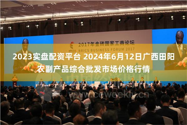 2023实盘配资平台 2024年6月12日广西田阳农副产品综合批发市场价格行情