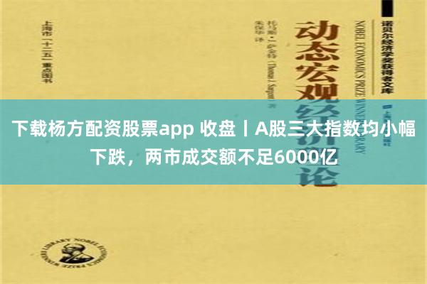 下载杨方配资股票app 收盘丨A股三大指数均小幅下跌，两市成交额不足6000亿