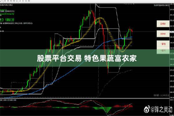 股票平台交易 特色果蔬富农家