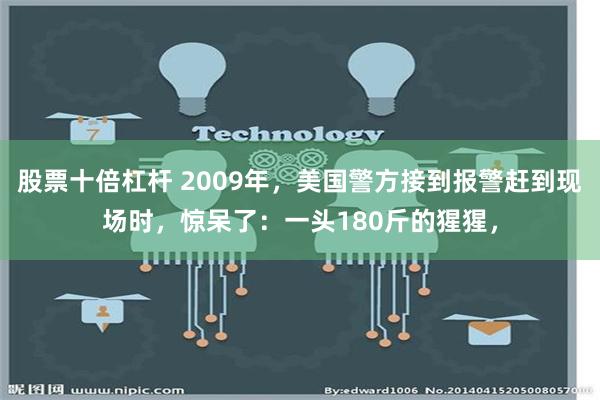 股票十倍杠杆 2009年，美国警方接到报警赶到现场时，惊呆了：一头180斤的猩猩，