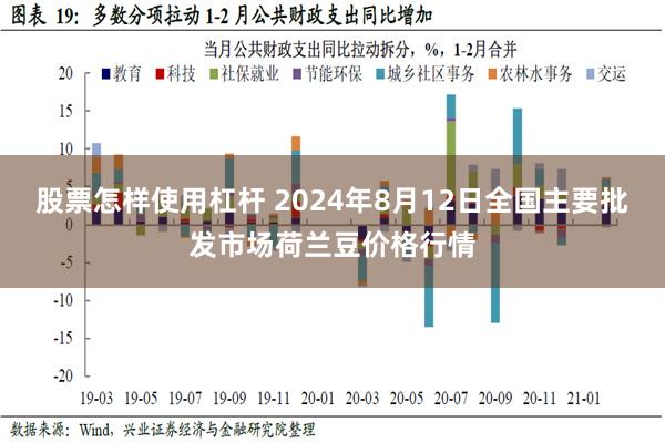 股票怎样使用杠杆 2024年8月12日全国主要批发市场荷兰豆价格行情