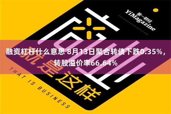 融资杠杆什么意思 8月13日聚合转债下跌0.35%，转股溢价率66.64%