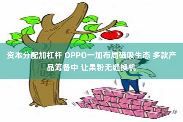 资本分配加杠杆 OPPO一加布局磁吸生态 多款产品筹备中 让果粉无缝换机