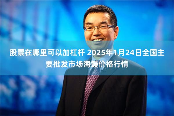 股票在哪里可以加杠杆 2025年1月24日全国主要批发市场海鳗价格行情