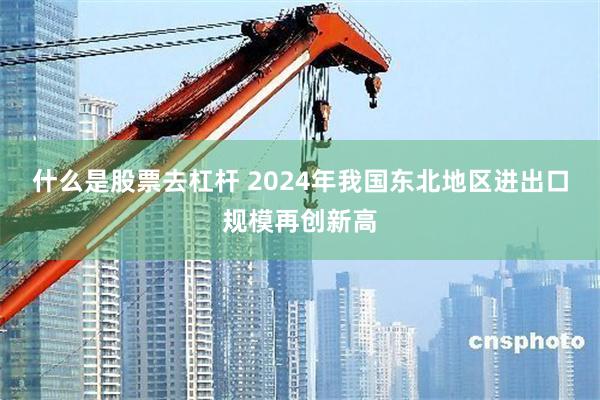 什么是股票去杠杆 2024年我国东北地区进出口规模再创新高