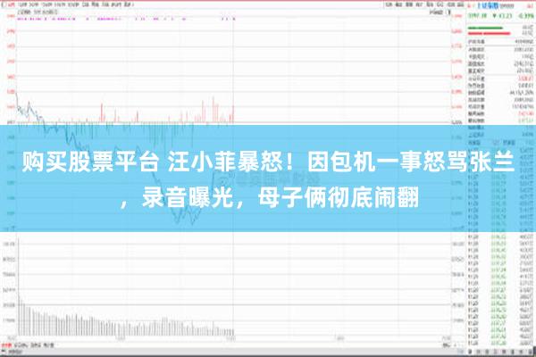 购买股票平台 汪小菲暴怒！因包机一事怒骂张兰，录音曝光，母子俩彻底闹翻