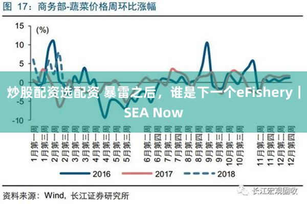 炒股配资选配资 暴雷之后，谁是下一个eFishery｜SEA Now